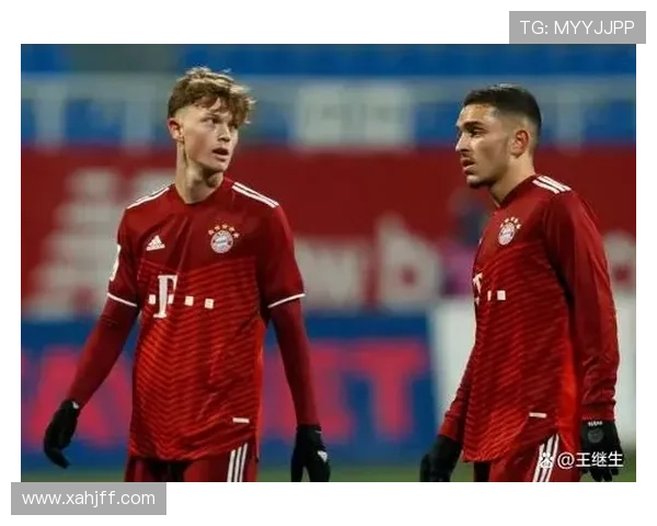 拜仁考虑小伊布担任左边锋替补 拜仁考虑小伊布担任左边锋替补